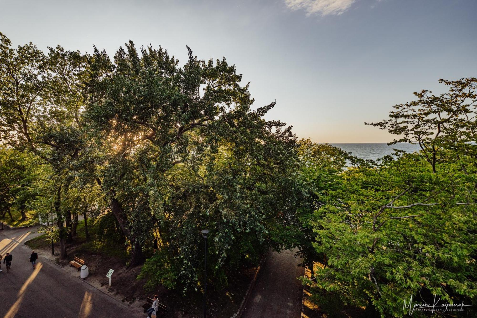 Cristal Bed and Breakfast Ούστκα Εξωτερικό φωτογραφία